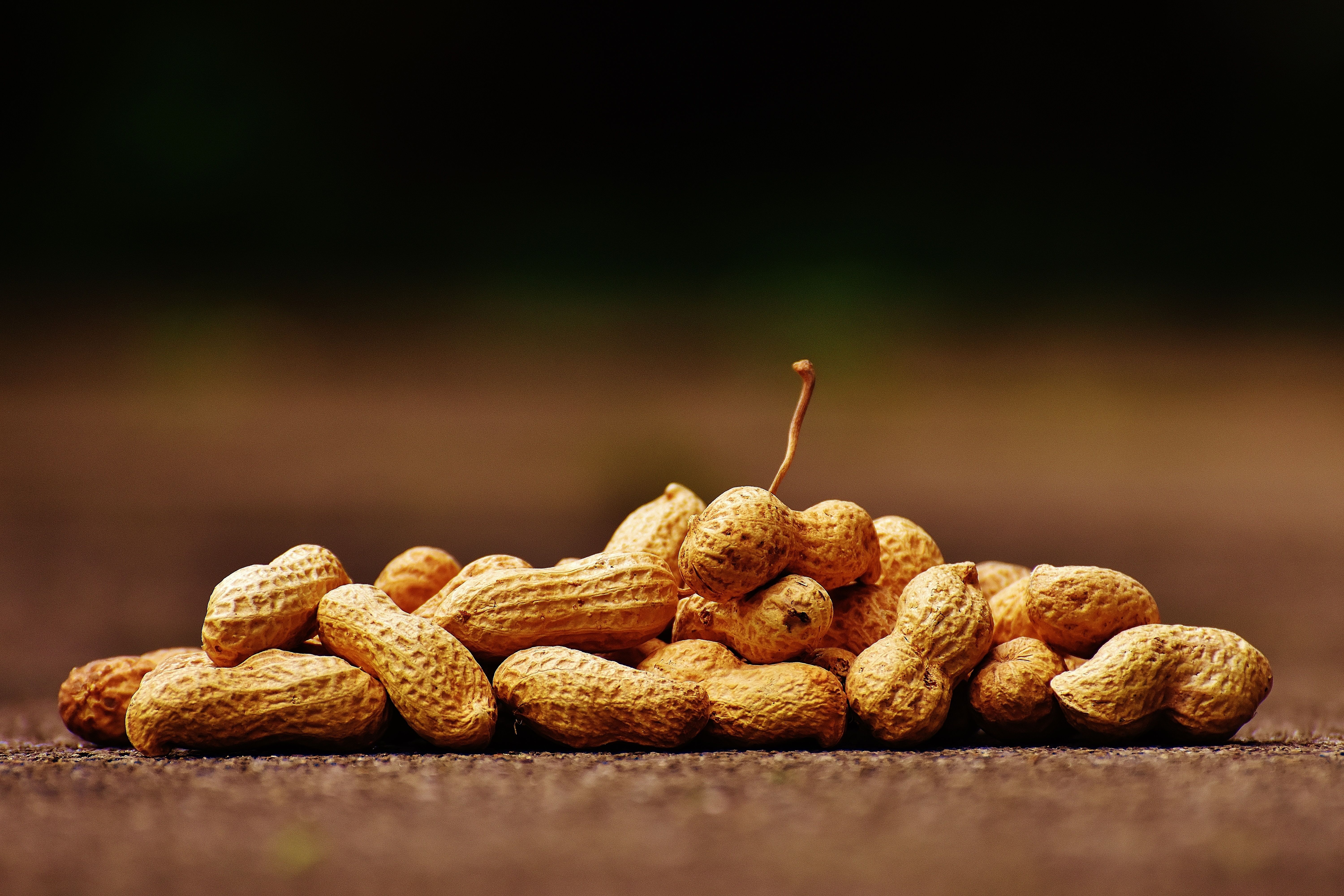 Java Peanuts